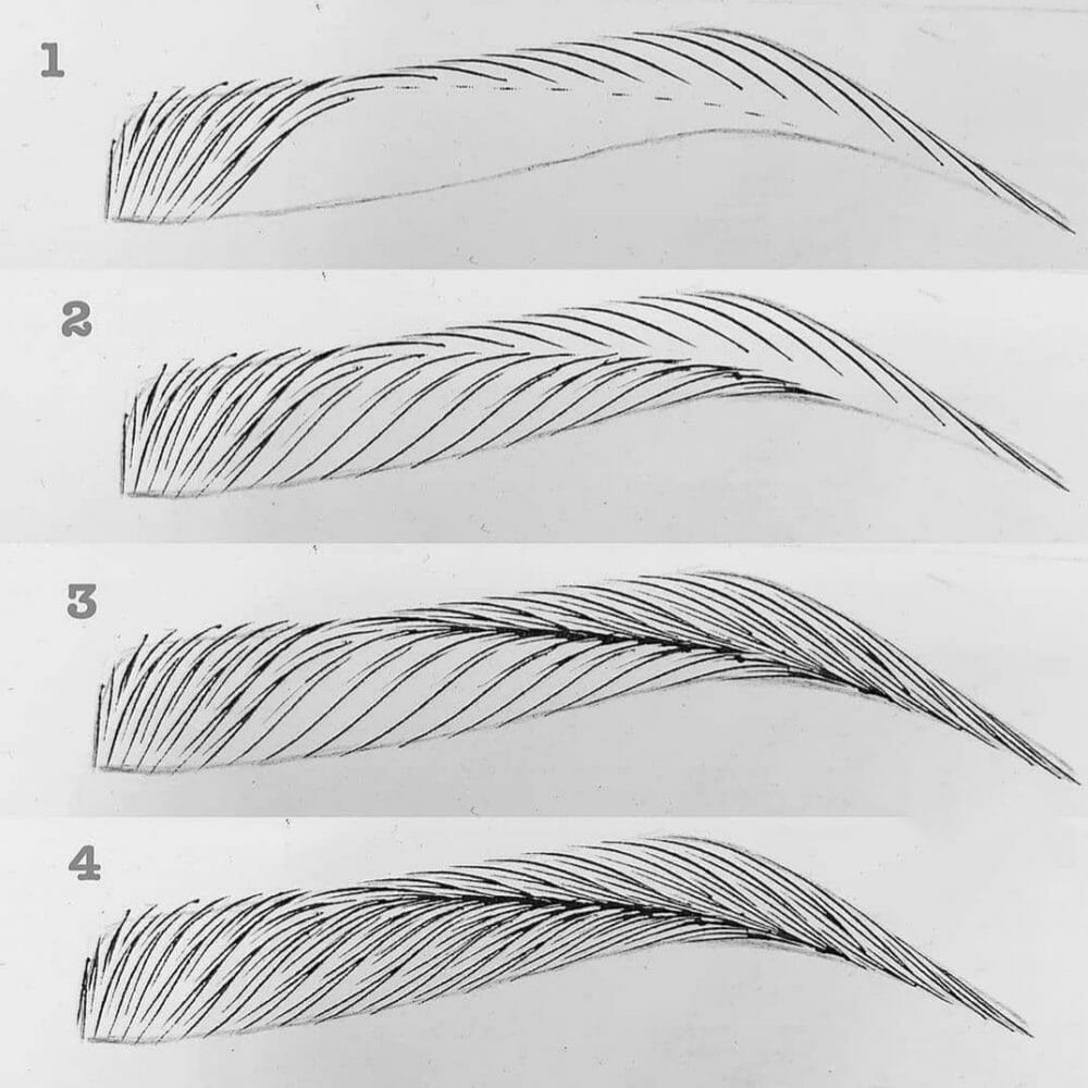 Bei Microblading Schulung lernt man alle Augenbrauen Design und form. 